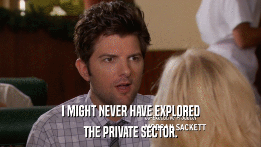 I MIGHT NEVER HAVE EXPLORED THE PRIVATE SECTOR. 