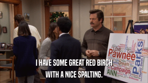 I HAVE SOME GREAT RED BIRCH WITH A NICE SPALTING. 