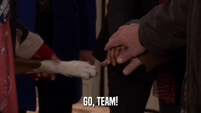 GO, TEAM!  
