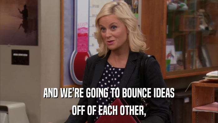 AND WE'RE GOING TO BOUNCE IDEAS OFF OF EACH OTHER, 