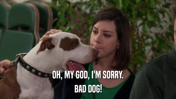 OH, MY GOD, I'M SORRY. BAD DOG! 