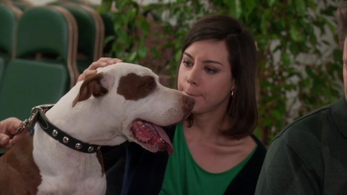 OH, MY GOD, I'M SORRY. BAD DOG! 