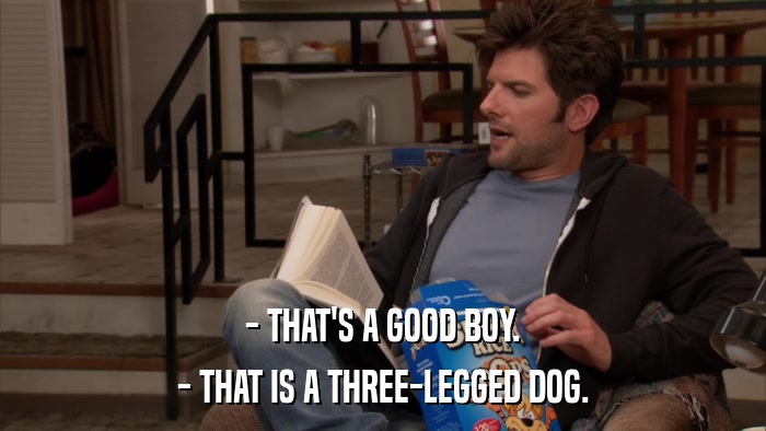 - THAT'S A GOOD BOY. - THAT IS A THREE-LEGGED DOG. 
