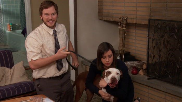 HIS NAME IS CHAMPION, BECAUSE HE'S THE DOG WORLD CHAMPION. 