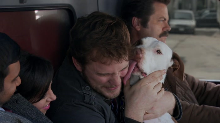 OH, CHAMPION IS A WAY BETTER KISSER THAN YOU ARE, BABE. 
