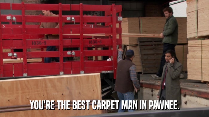 YOU'RE THE BEST CARPET MAN IN PAWNEE.  