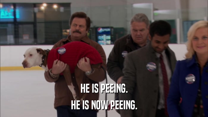 HE IS PEEING. HE IS NOW PEEING. 