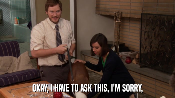 OKAY, I HAVE TO ASK THIS, I'M SORRY,  