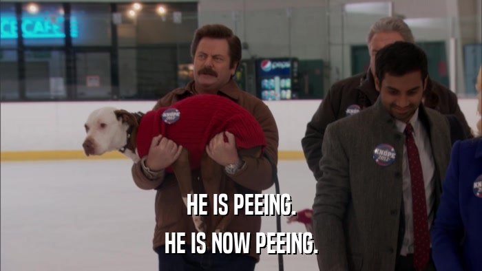 HE IS PEEING. HE IS NOW PEEING. 