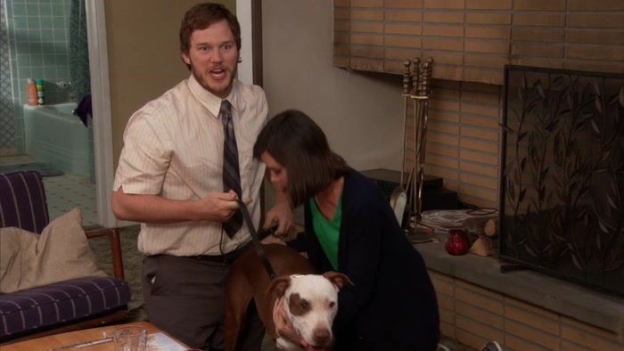 HIS NAME IS CHAMPION, BECAUSE HE'S THE DOG WORLD CHAMPION. 