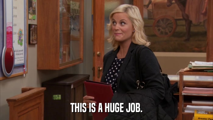 THIS IS A HUGE JOB.  