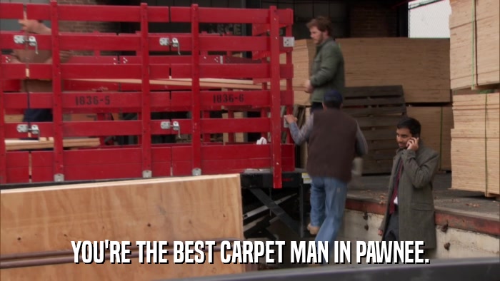 YOU'RE THE BEST CARPET MAN IN PAWNEE.  