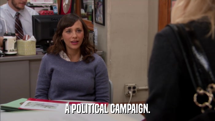 A POLITICAL CAMPAIGN.  