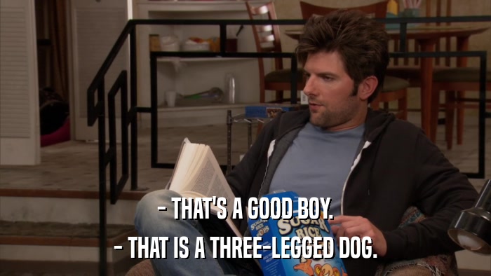 - THAT'S A GOOD BOY. - THAT IS A THREE-LEGGED DOG. 