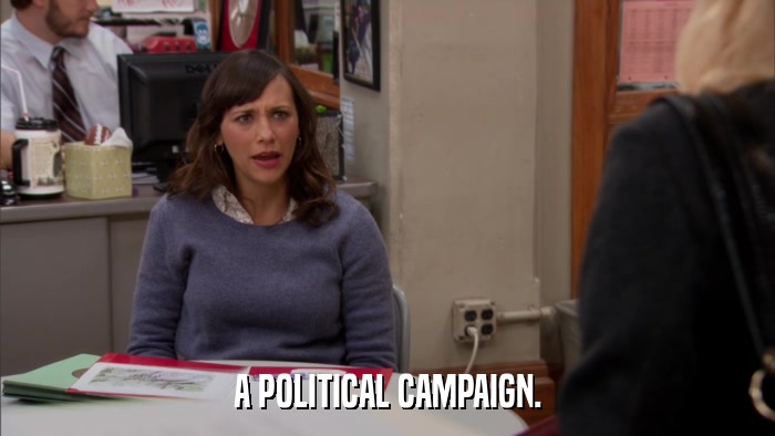 A POLITICAL CAMPAIGN.  