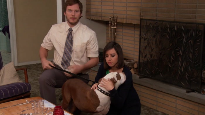 HE CAN DO MORE WITH THREE LEGS THAN MOST DOGS CAN DO WITH FOUR. 