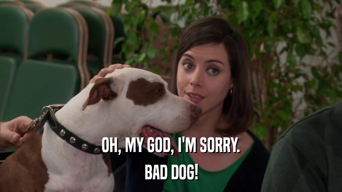 OH, MY GOD, I'M SORRY. BAD DOG! 