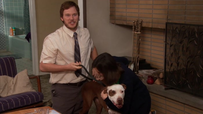 HIS NAME IS CHAMPION, BECAUSE HE'S THE DOG WORLD CHAMPION. 