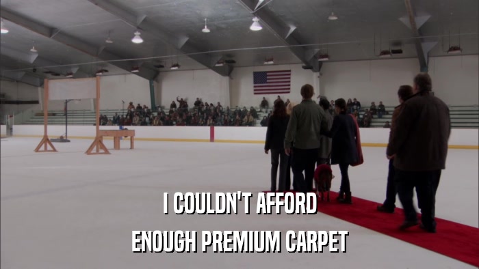 I COULDN'T AFFORD ENOUGH PREMIUM CARPET 