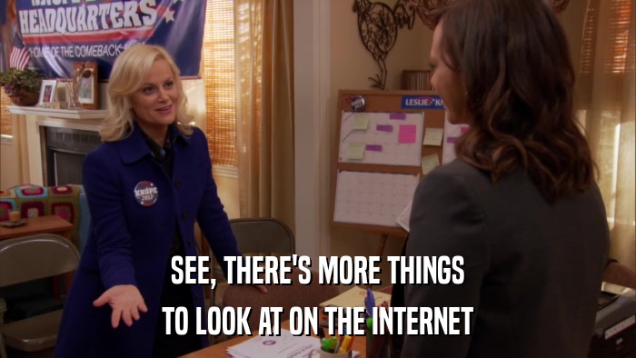SEE, THERE'S MORE THINGS TO LOOK AT ON THE INTERNET 