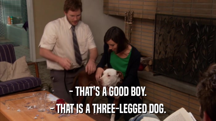 - THAT'S A GOOD BOY. - THAT IS A THREE-LEGGED DOG. 