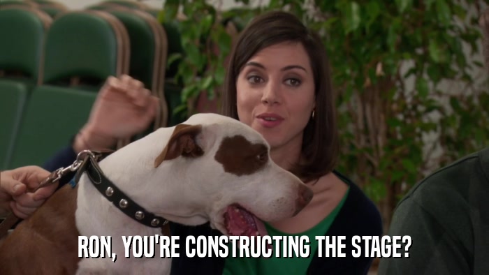 RON, YOU'RE CONSTRUCTING THE STAGE?  