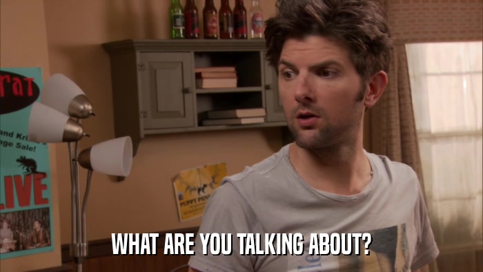 WHAT ARE YOU TALKING ABOUT?  