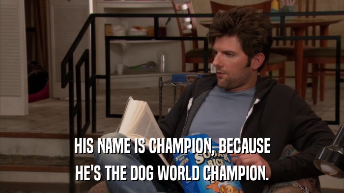 HIS NAME IS CHAMPION, BECAUSE HE'S THE DOG WORLD CHAMPION. 