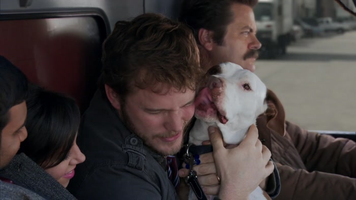 OH, CHAMPION IS A WAY BETTER KISSER THAN YOU ARE, BABE. 