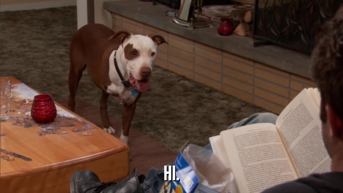 HI.  
