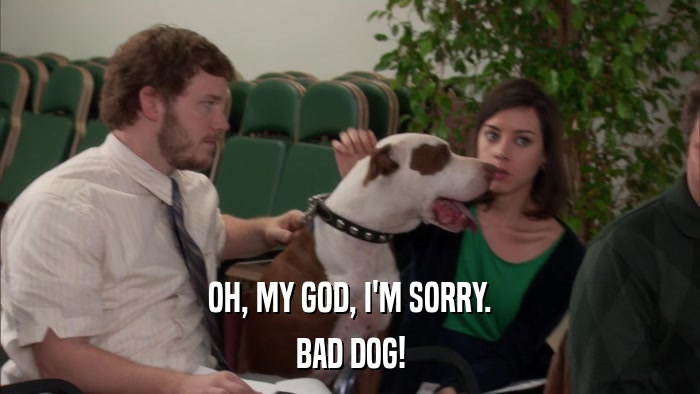 OH, MY GOD, I'M SORRY. BAD DOG! 