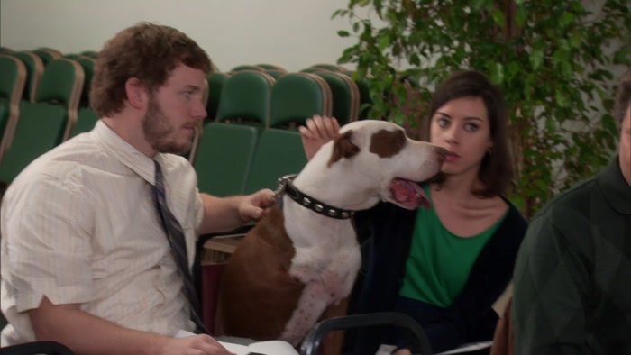 OH, MY GOD, I'M SORRY. BAD DOG! 