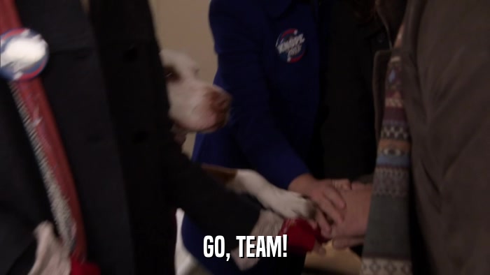 GO, TEAM!  