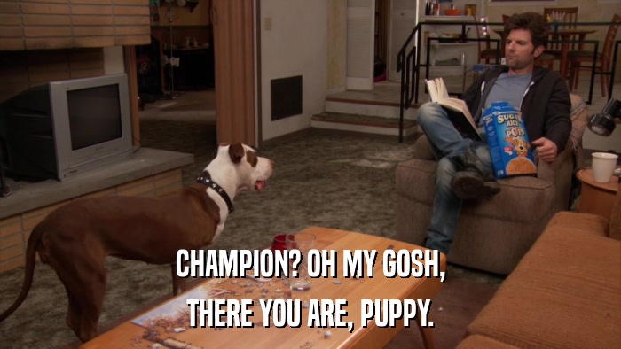 CHAMPION? OH MY GOSH, THERE YOU ARE, PUPPY. 