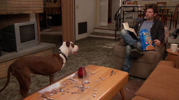 CHAMPION? OH MY GOSH, THERE YOU ARE, PUPPY. 
