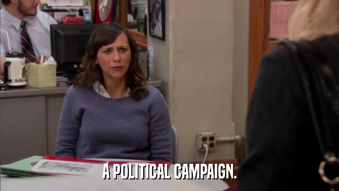 A POLITICAL CAMPAIGN.  