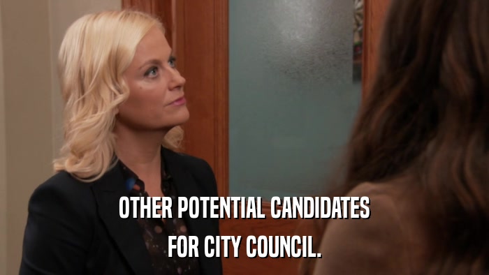 OTHER POTENTIAL CANDIDATES FOR CITY COUNCIL. 