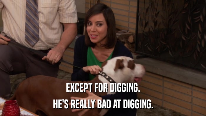 EXCEPT FOR DIGGING. HE'S REALLY BAD AT DIGGING. 