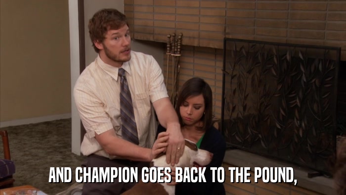 AND CHAMPION GOES BACK TO THE POUND,  