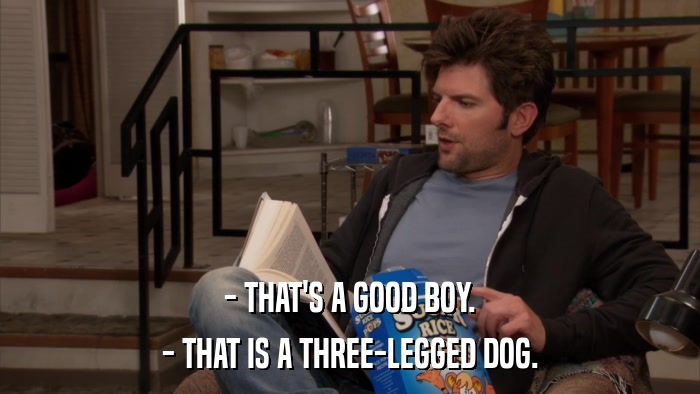 - THAT'S A GOOD BOY. - THAT IS A THREE-LEGGED DOG. 