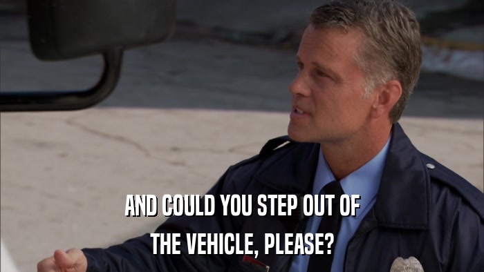 AND COULD YOU STEP OUT OF THE VEHICLE, PLEASE? 