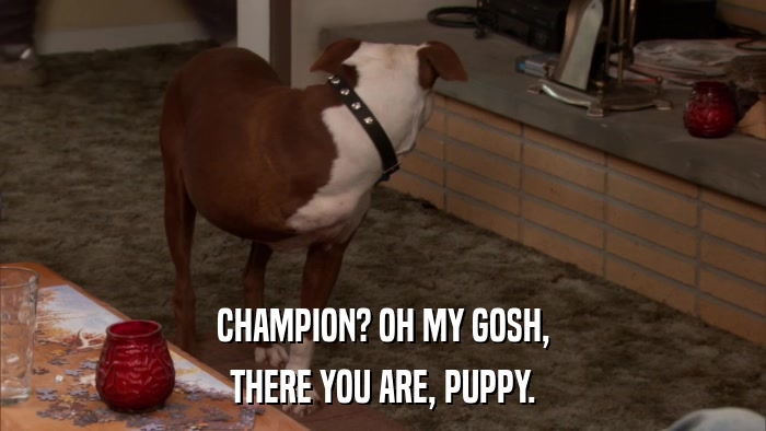 CHAMPION? OH MY GOSH, THERE YOU ARE, PUPPY. 