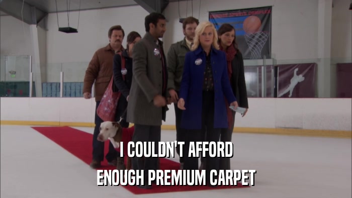 I COULDN'T AFFORD ENOUGH PREMIUM CARPET 