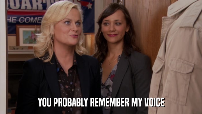 YOU PROBABLY REMEMBER MY VOICE  