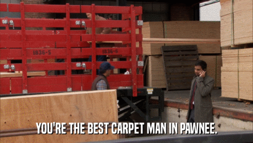 YOU'RE THE BEST CARPET MAN IN PAWNEE.  