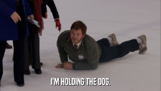 I'M HOLDING THE DOG.  