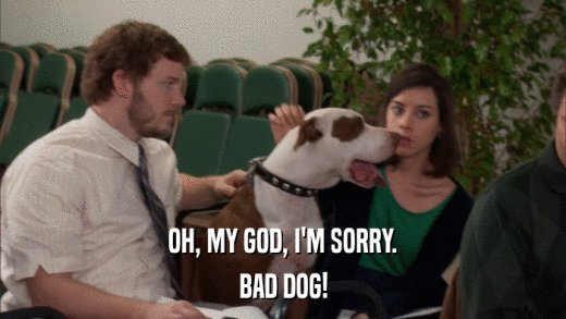 OH, MY GOD, I'M SORRY. BAD DOG! 
