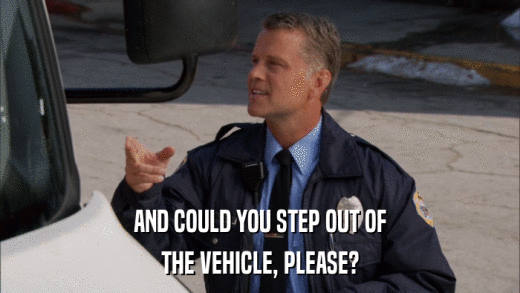 AND COULD YOU STEP OUT OF THE VEHICLE, PLEASE? 