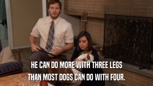HE CAN DO MORE WITH THREE LEGS THAN MOST DOGS CAN DO WITH FOUR. 