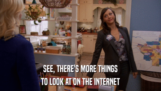 SEE, THERE'S MORE THINGS TO LOOK AT ON THE INTERNET 